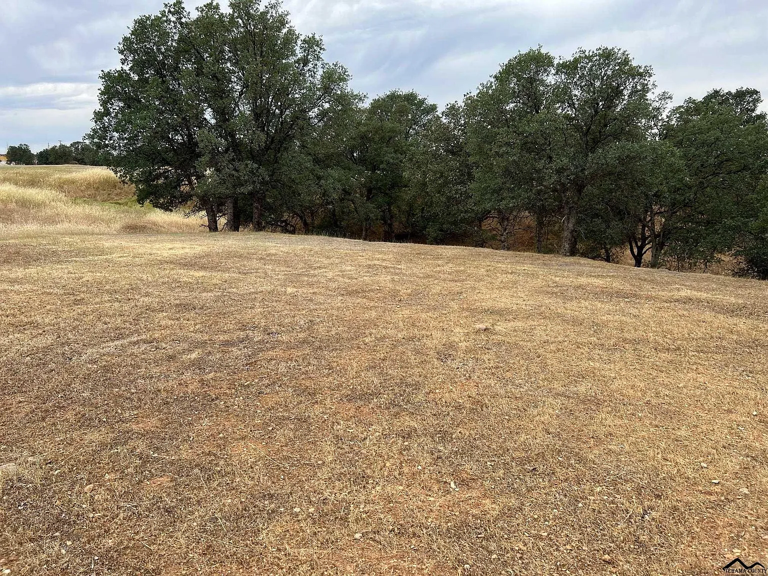 19509 Sweet Brier Pl photo 1