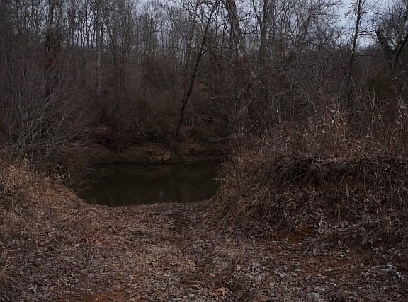 2nd image of 292 Roachs Ln