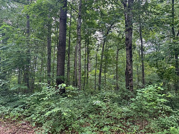 3rd image of 1 Tipple Rd Lot 1