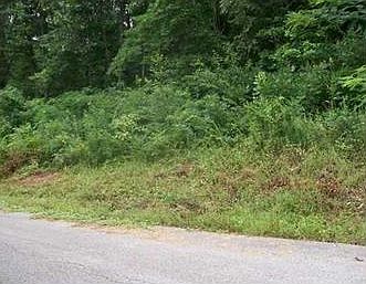 3rd image of 16689 Carefree Ln