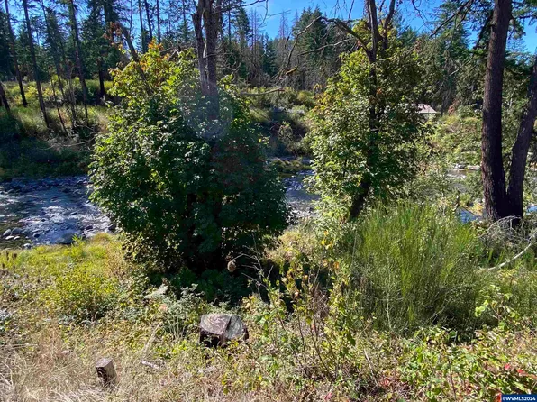 23545 N Fork Rd SE, Lyons, OR 97358