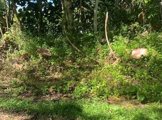 Opae St LOT 1622, Pahoa, HI 96778