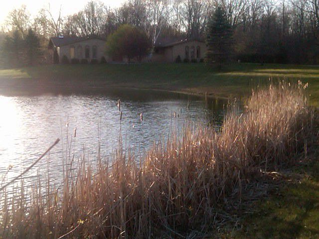 Home