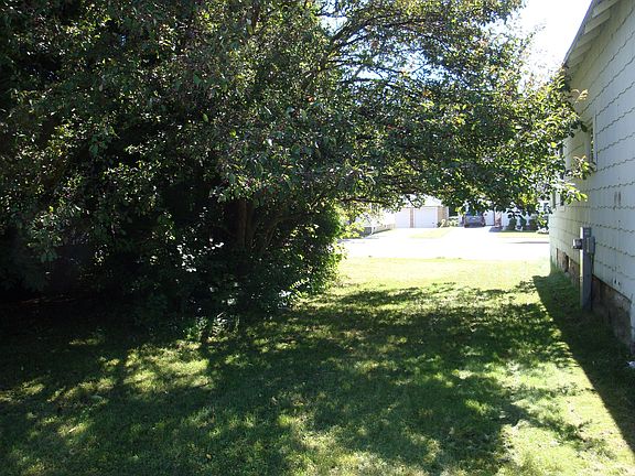 backyard  flowering crabs