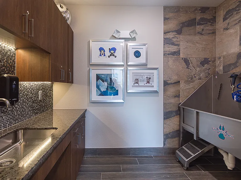 Pet Wash Station