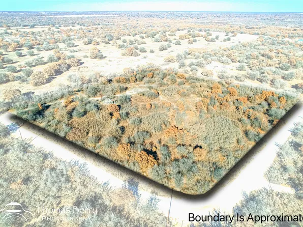 2310 Private Road 334, Hawley, TX 79525