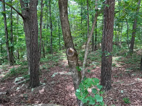 0 Rock Hill Rd, Fairfield Bay, AR 72088