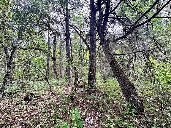 3rd image of 3.2 Miles Out China Grade Rd
