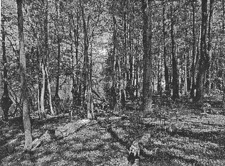 LOT 12 Parklin Ln, Elloree, SC 29047