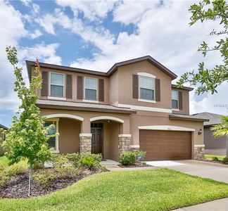 9203 Mountain Magnolia Dr, Riverview, FL, 33578