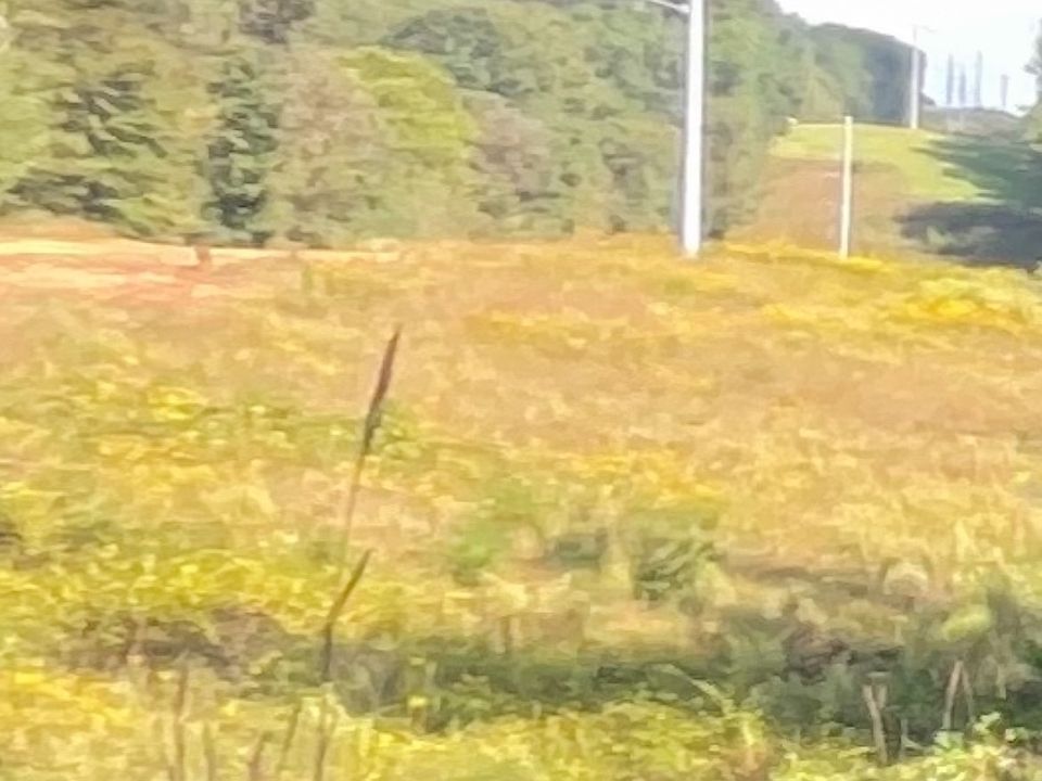 2nd image of 4310 Ledan Ext
