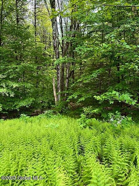 2nd image of L82.3 Old Ghost Road Lot 22