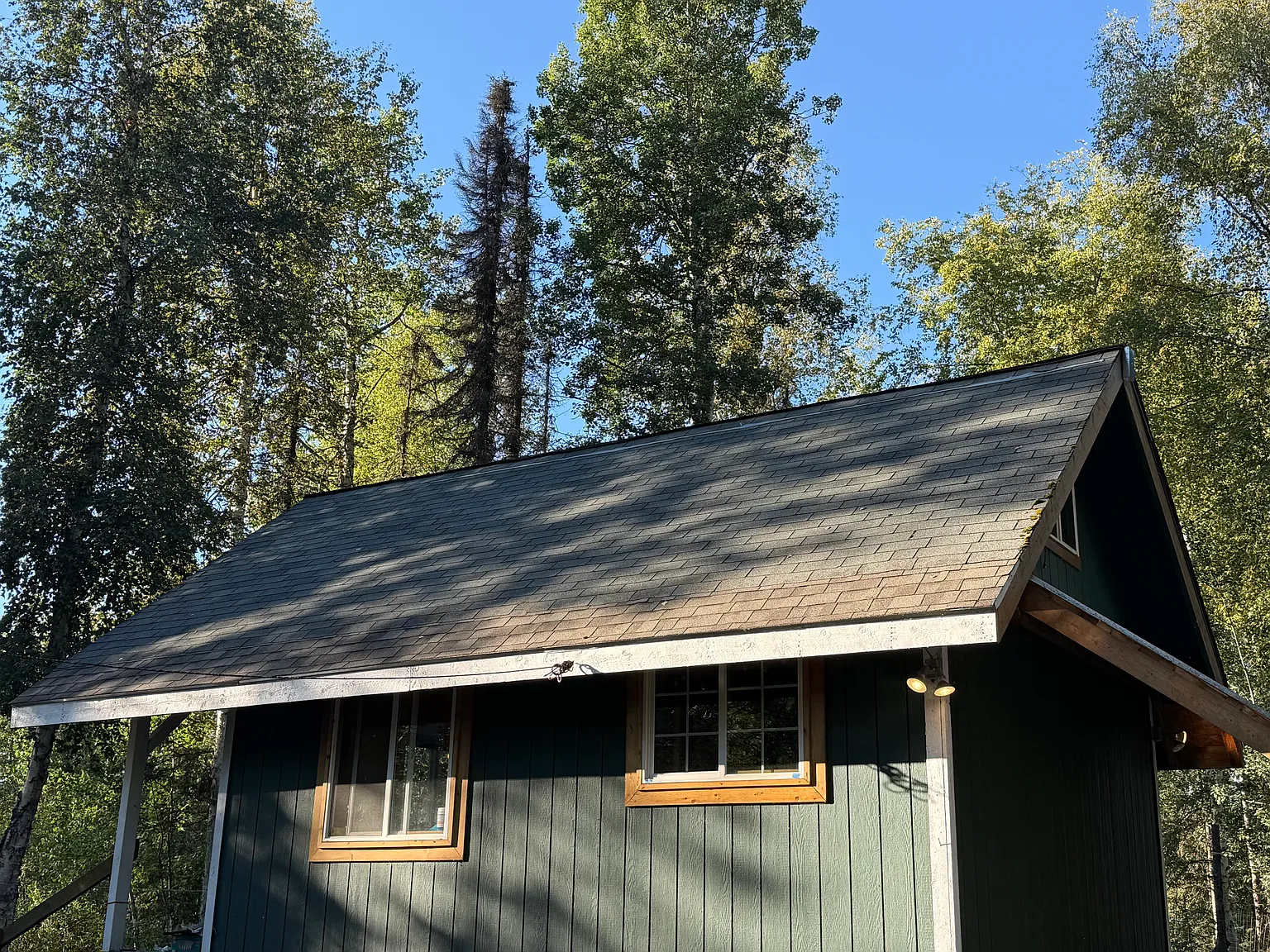 1 bed, 350 sqft, $800 — Photo 2