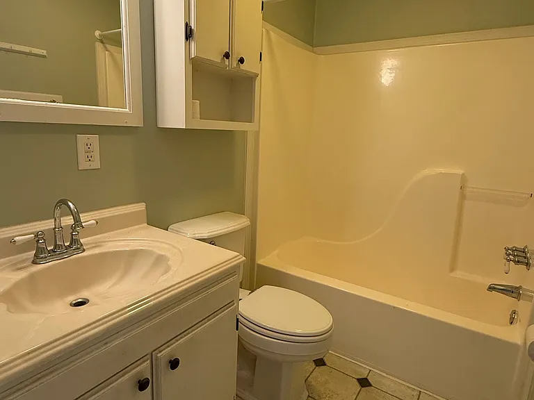 Hall/Second bathroom