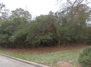 2835 Whitman Dr, Montgomery, TX 77356