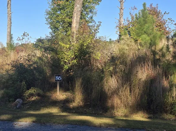 86 River Overlook Ln, Ellijay, GA 30540