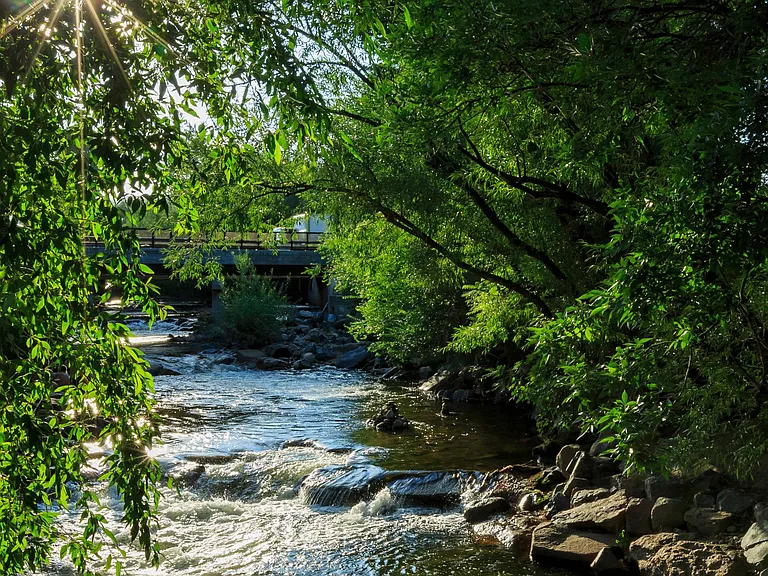 Creekside of Hamlin — Photo 7