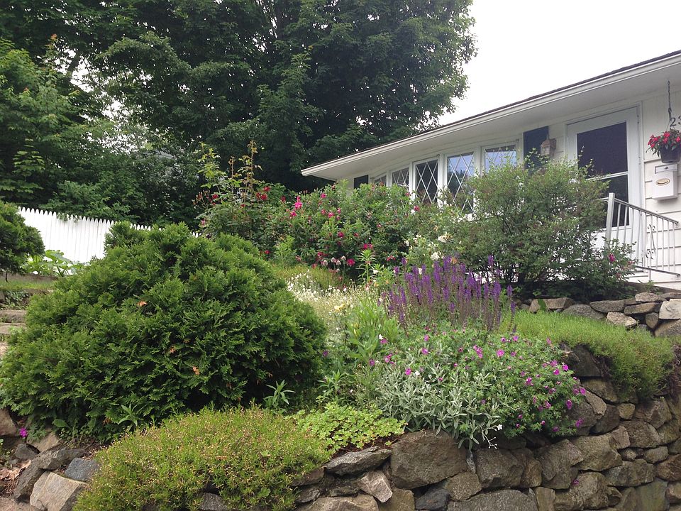 Front Yard 1