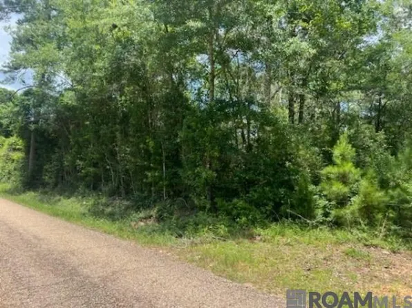 20050 Sylvest Rd, Franklinton, LA 70438