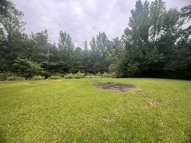 4601 Highway 12 E — Photo 30