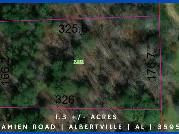 1.3 / Acre Damien Rd, Albertville, AL 35951