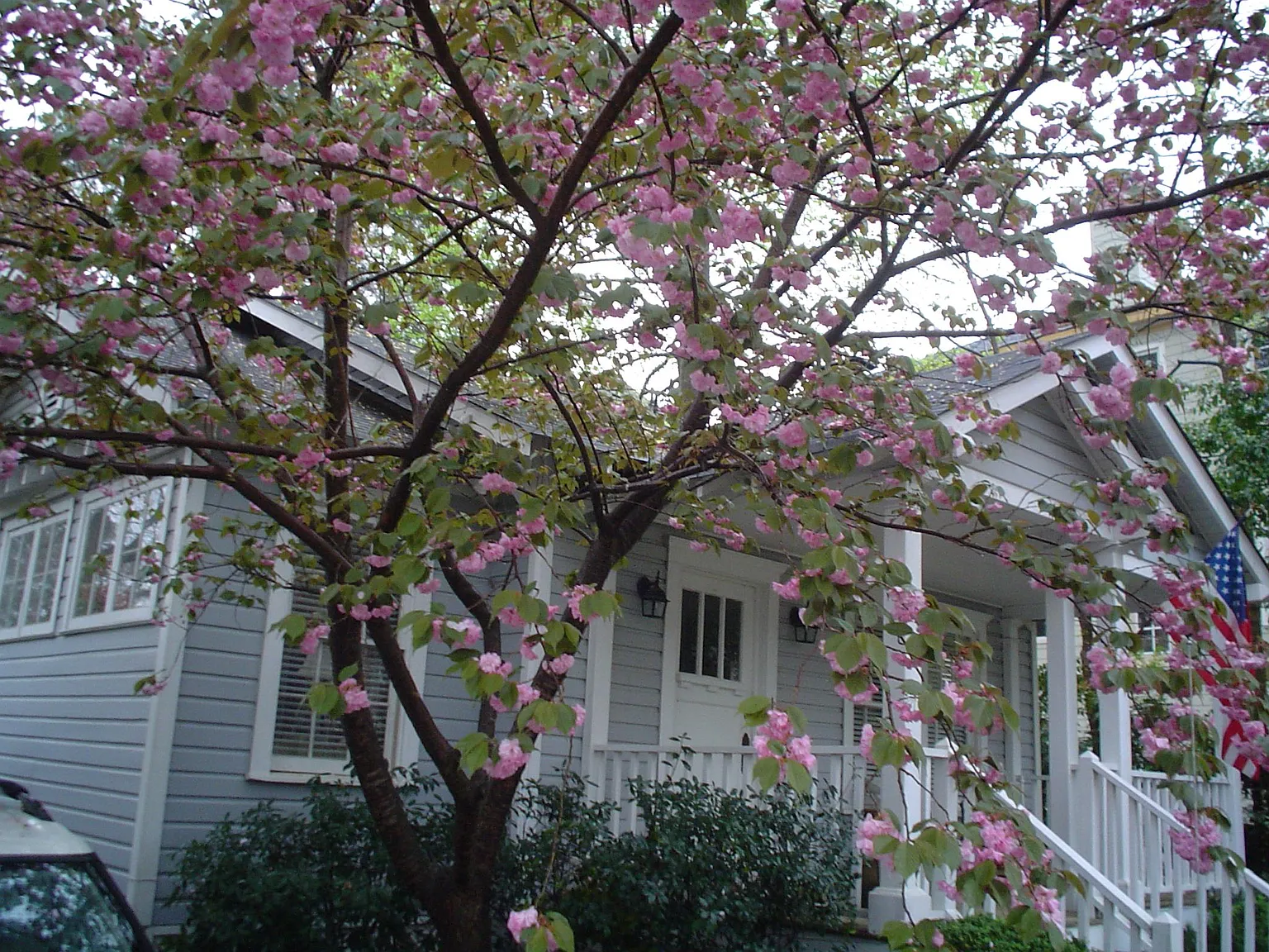 5 Kenlock Pl NE — Photo 2