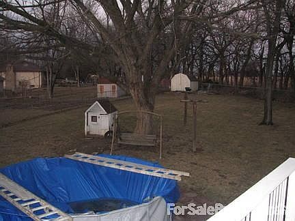 Back Yard and Swimming Pool