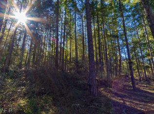 22135 Bluewater Dr SE, Yelm, WA 98597