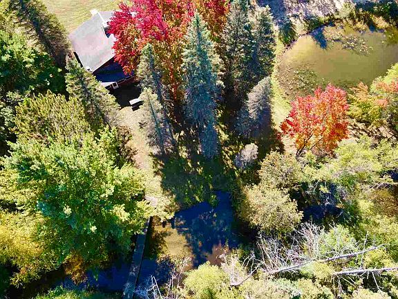 5th image of 10445 Savitsky Dr