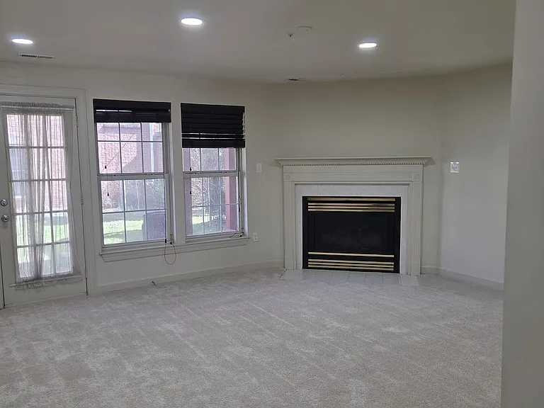 14203 Plum Run Way — Photo 4