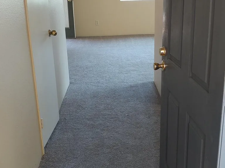 7425 Charmant Dr #2814 — Photo 2