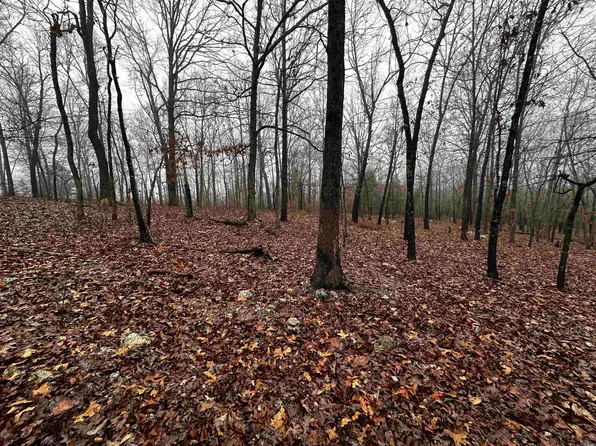 0 Barnes Rd, Evening Shade, AR 72532