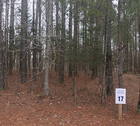4th image of 18 Allens Bend Rd Lot 18