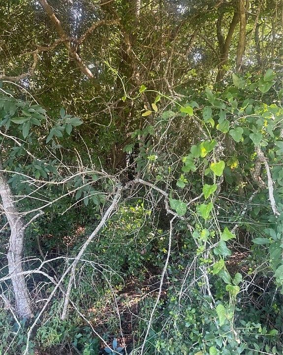 1st image of Lakeside Dr