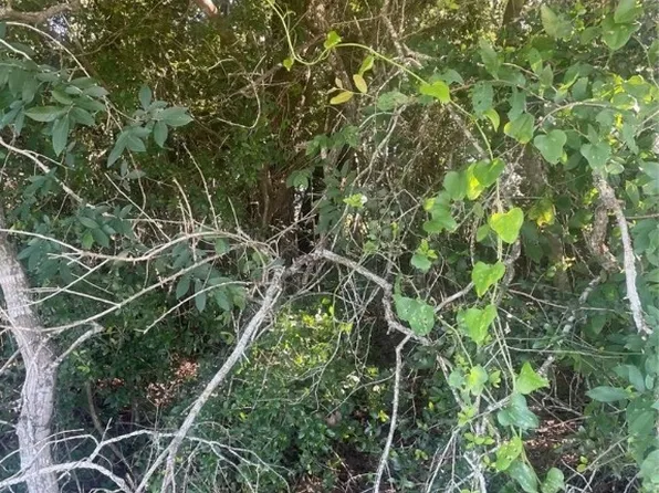 Lakeside Dr, Caldwell, TX 77836