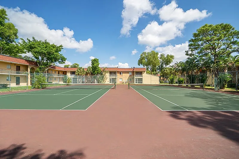 Palo Verde — Photo 3