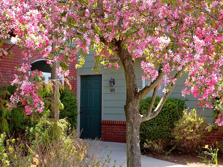Your front door
