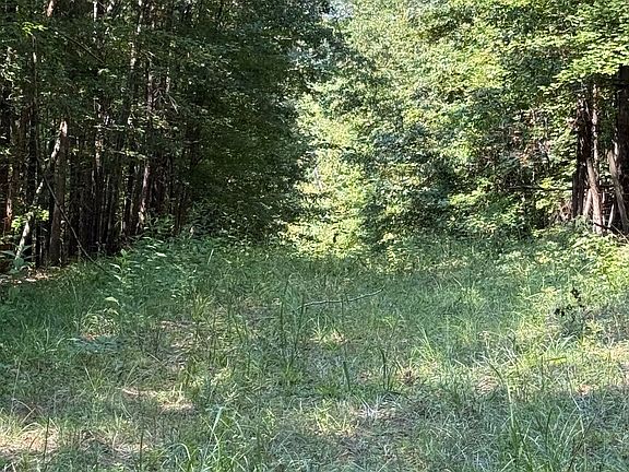 4th image of 0 Oak Valley Dr