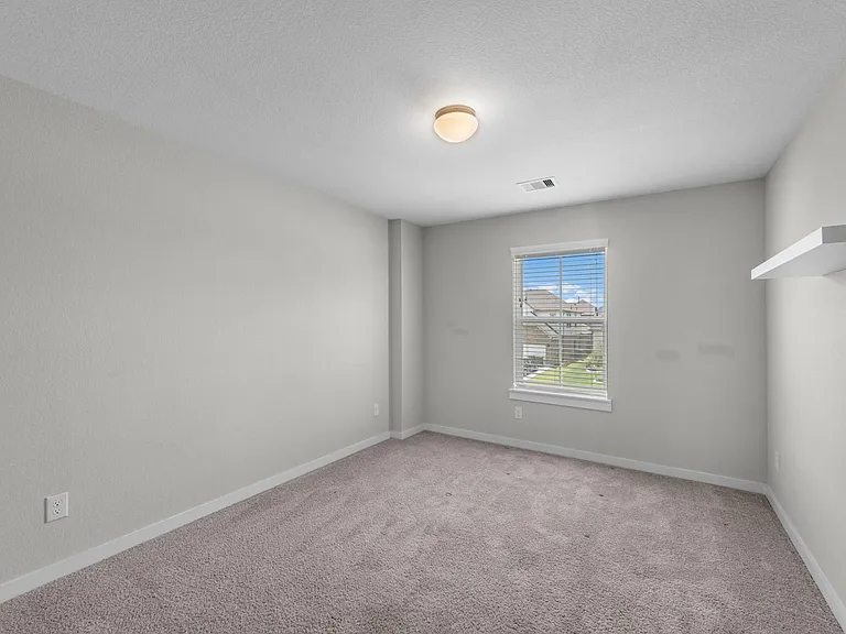1907 Scarlet Yaupon Way — Photo 22
