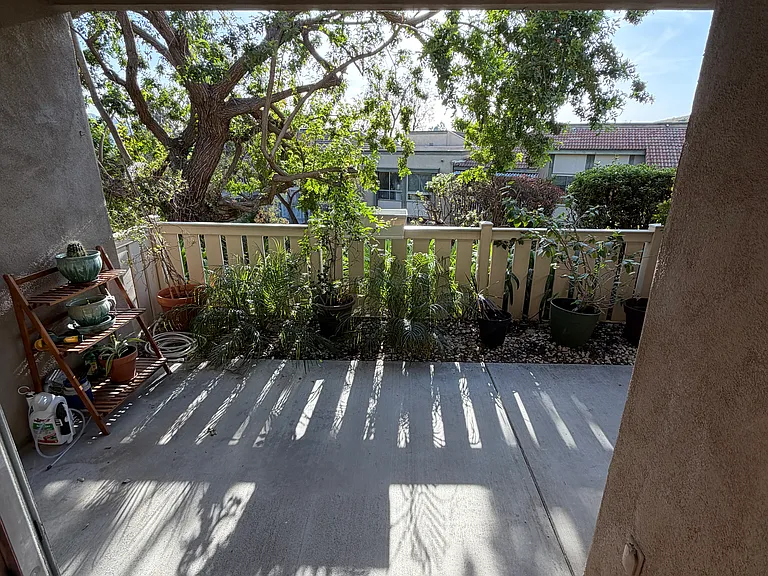 221 Oakleaf Dr — Photo 17