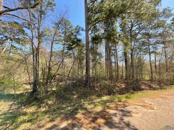 Ernest Dr, Marshall, TX 75670