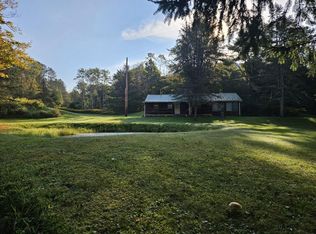 218 Elk Run Rd, Gaines, PA 16921