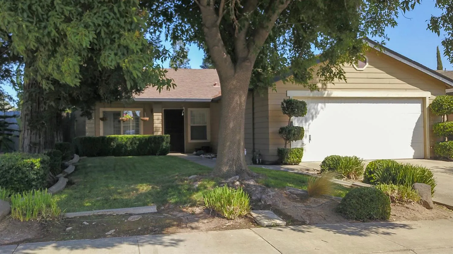 5648 Rose Brook Dr photo 1