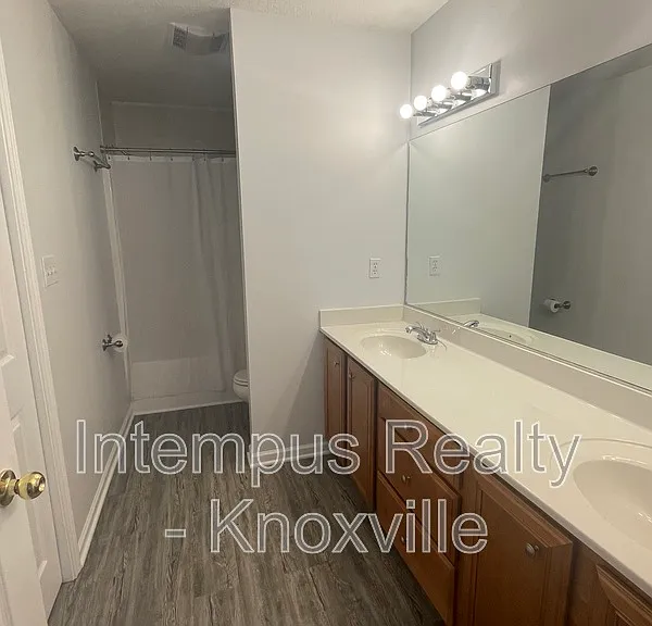 3119 Pinex Ln — Photo 24