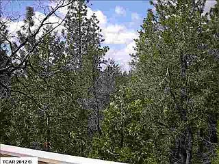 2nd image of 28906 Sherwood Forest Ln