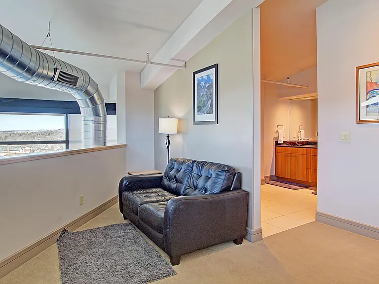417 E Kiowa St #1206 — Photo 11