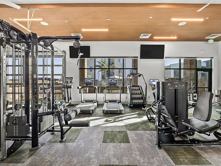 Top of the line Fitness Center with Life Fitness Equipment