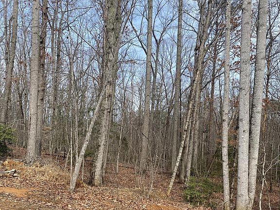 4th image of Chopping Rd