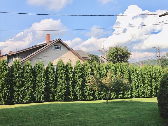 Tree-lined for privacy 