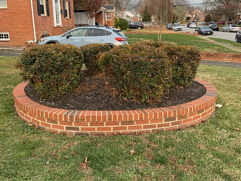 Front yard